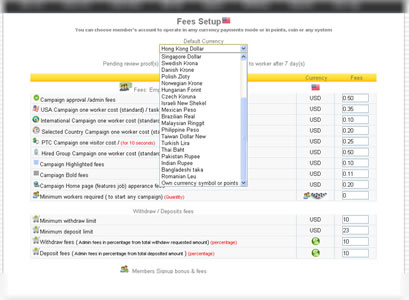Mini Job 2.1B job Script